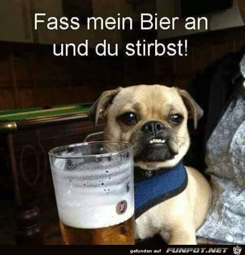 Trau dich Trau dich