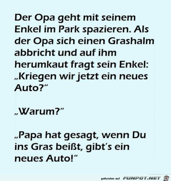 der Opa geht mit seinem Enkel.........