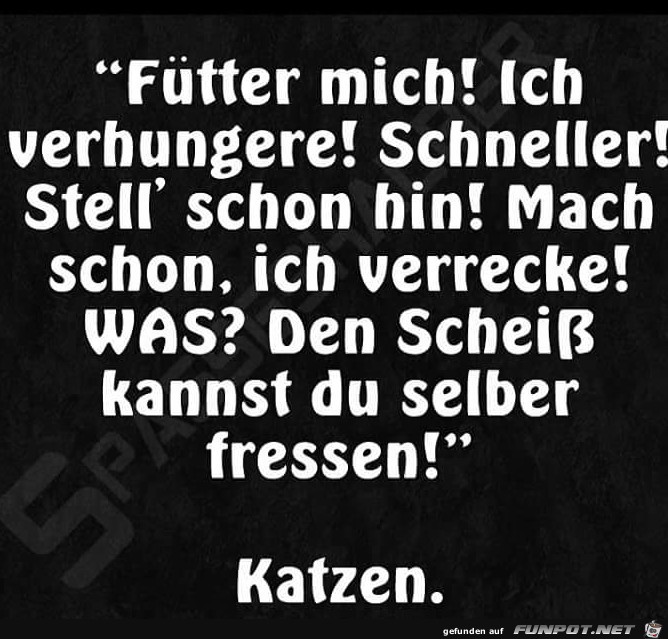 Fütter mich! Fütter mich!
