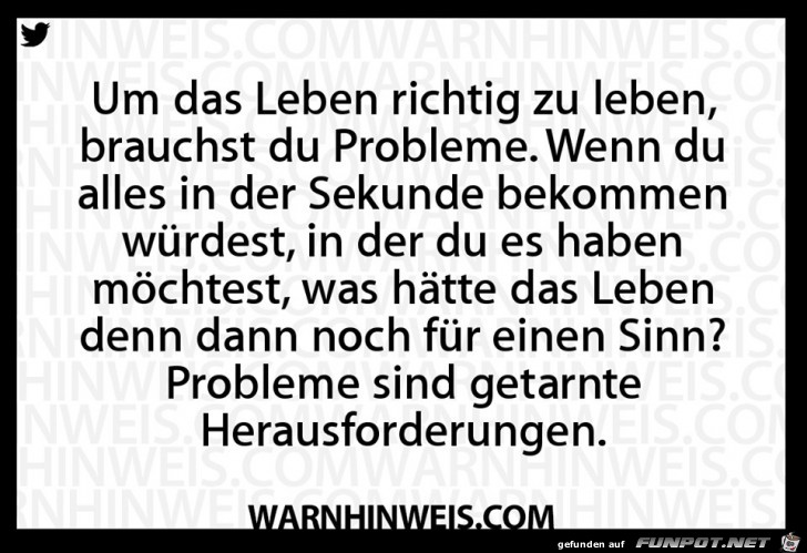 Probleme Probleme