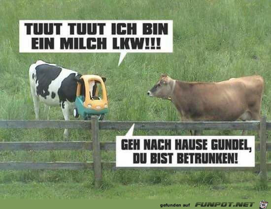 Milch LKW Milch LKW