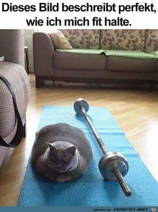 So halte ich mich fit So halte ich mich fit