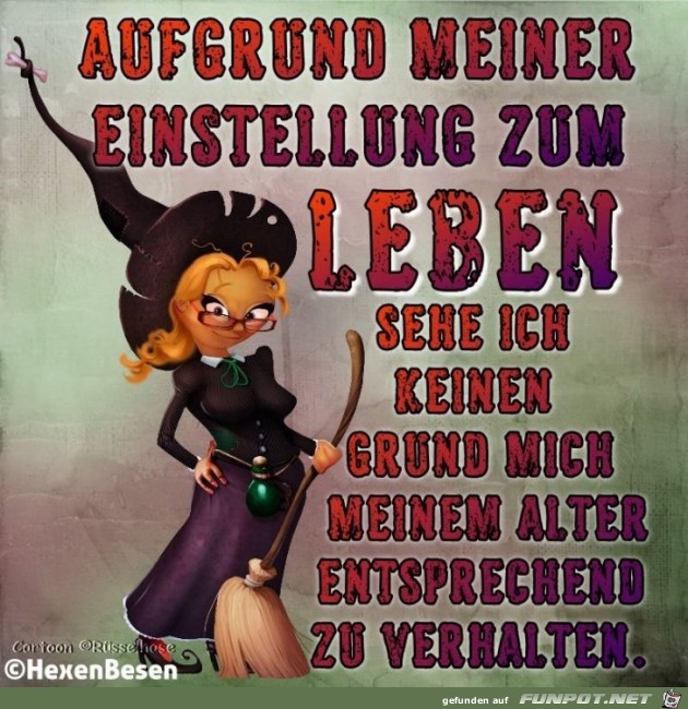 Einstellung zum meinen Leben Einstellung zum meinen Leben
