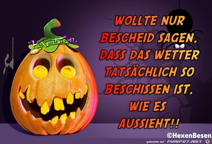 Wollte nur Bescheid sagen Wollte nur Bescheid sagen