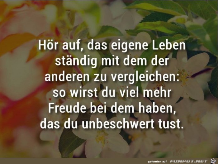 10 schne Sprche und Lebensweisheiten aus...