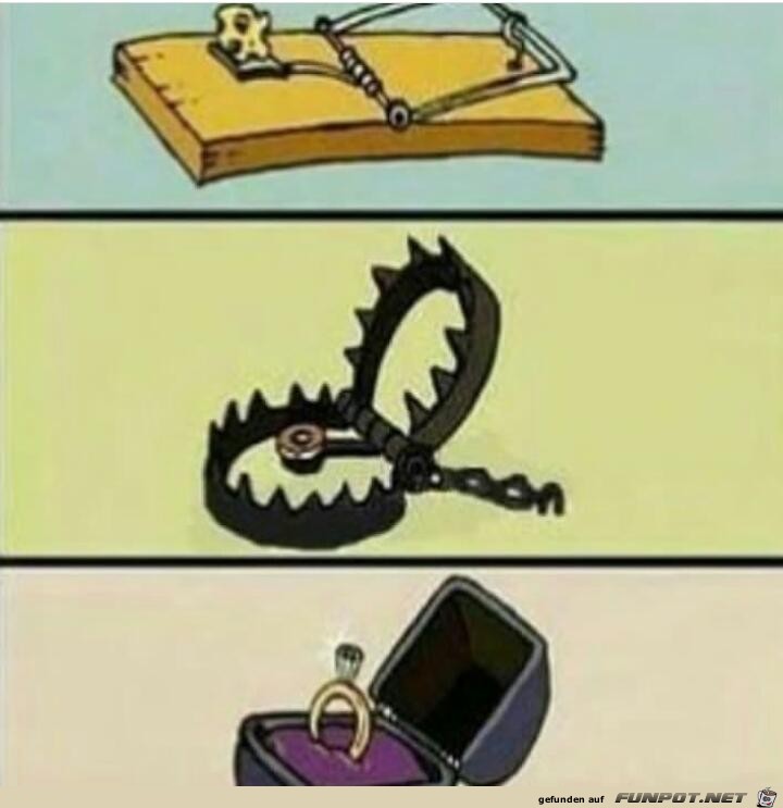 In der Falle In der Falle