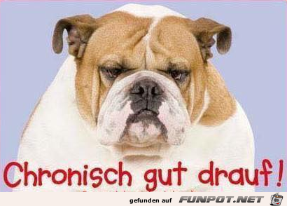 Immer super drauf Immer super drauf
