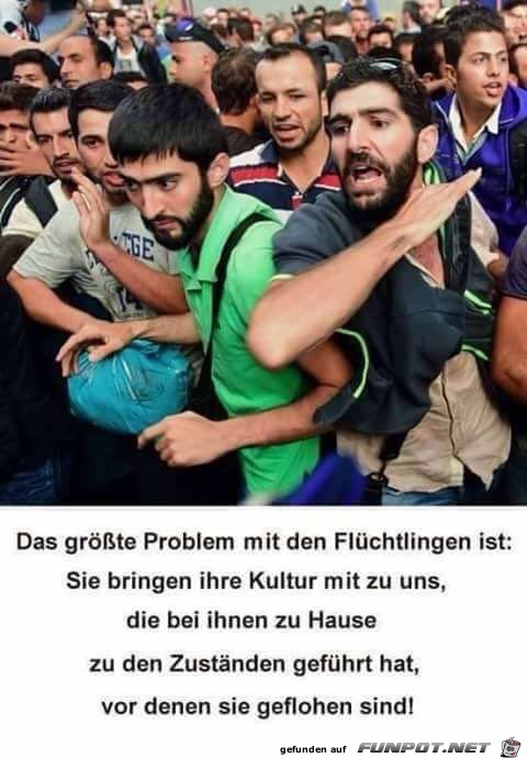 Fluechtlingskultur Fluechtlingskultur