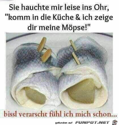 ich zeig Dir die Moepse ich zeig Dir die Moepse