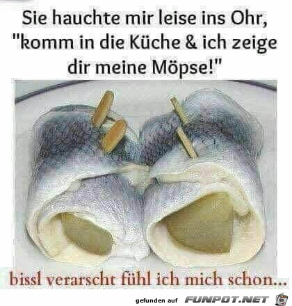 ich zeig Dir die Moepse