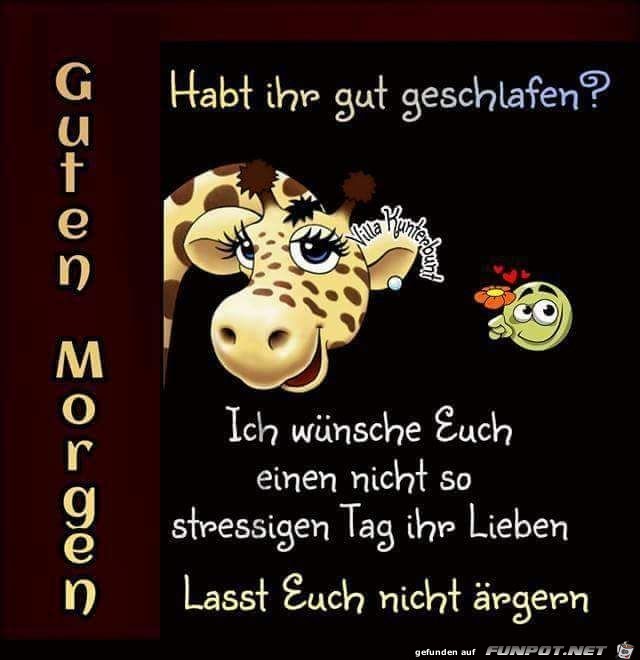 Guten Morgen Guten Morgen
