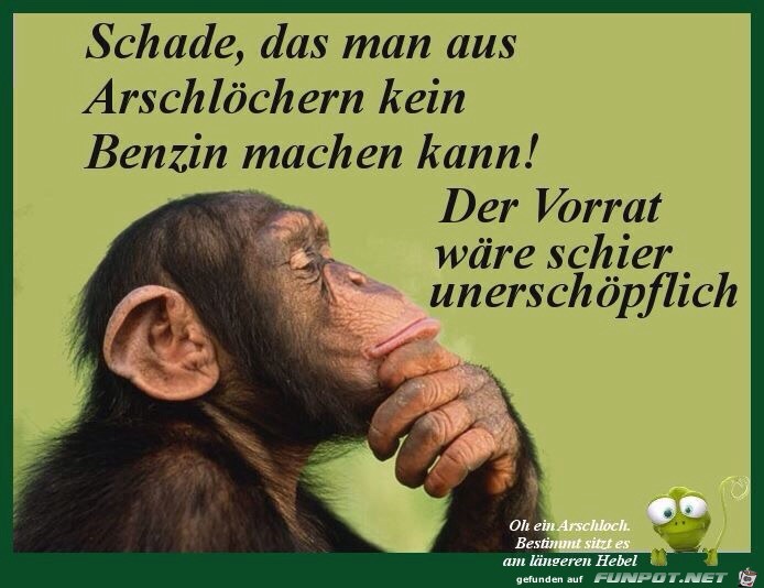 Schade Dass Schade Dass