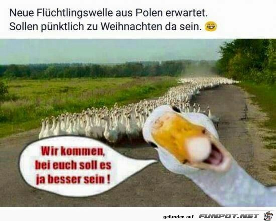 Flchtlingswelle aus Polen...