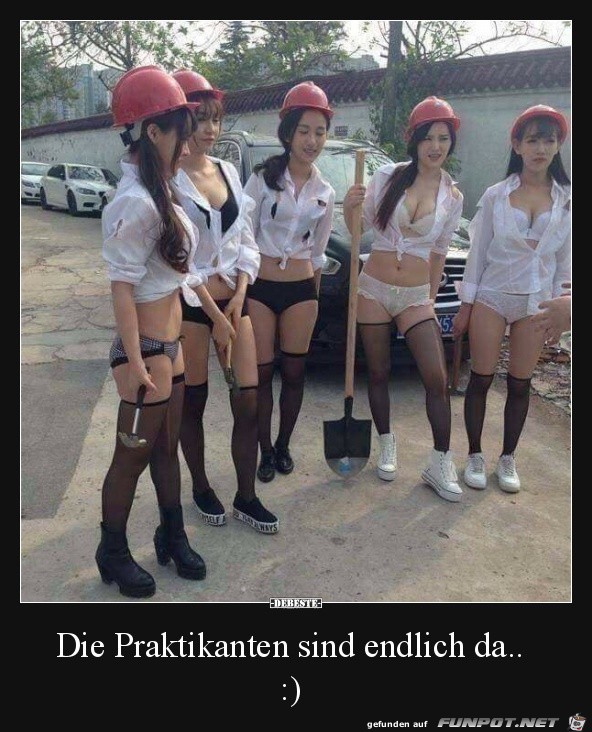 Neue Praktikanten