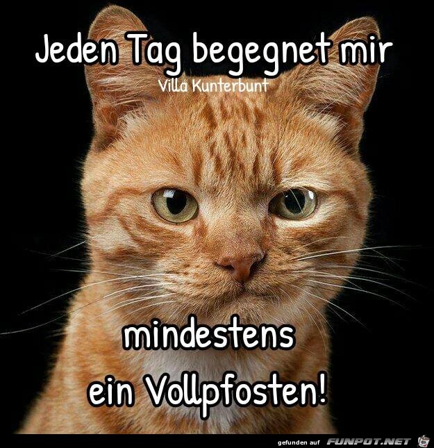Jeden Tag Jeden Tag
