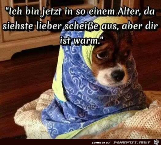 Bin jetzt im einen Alter Bin jetzt im einen Alter