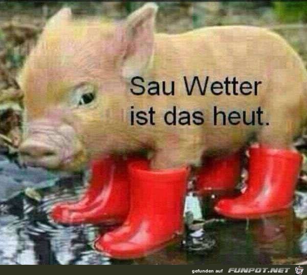 Sauwetter Sauwetter