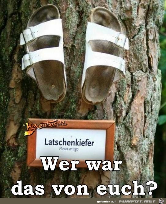 Wer war das von euch Wer war das von euch