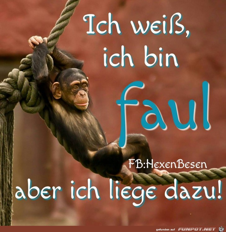 Bin faul Bin faul