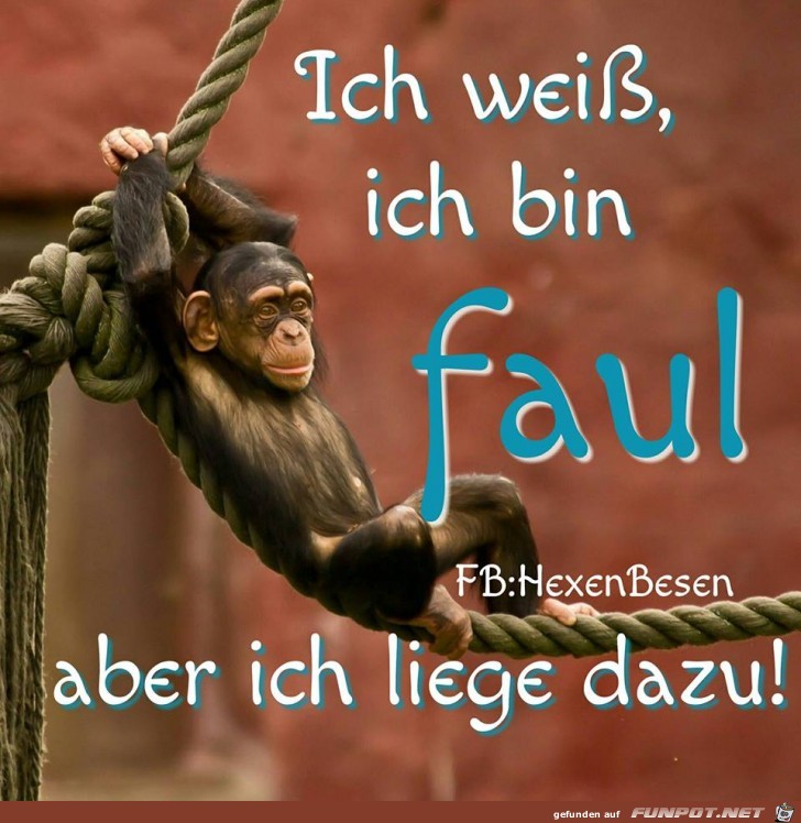 Bin faul