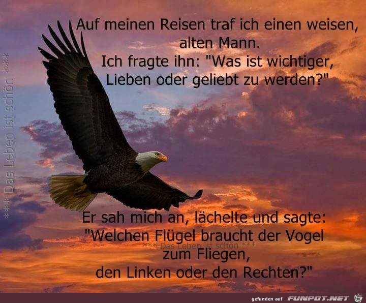 Auf meinen Reisen Auf meinen Reisen