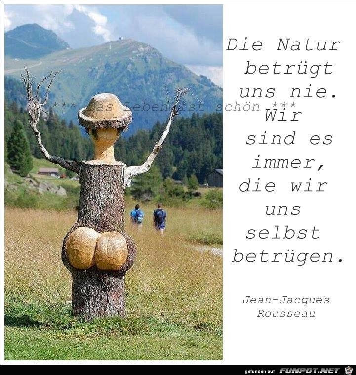 Die Natur betruegt uns nicht