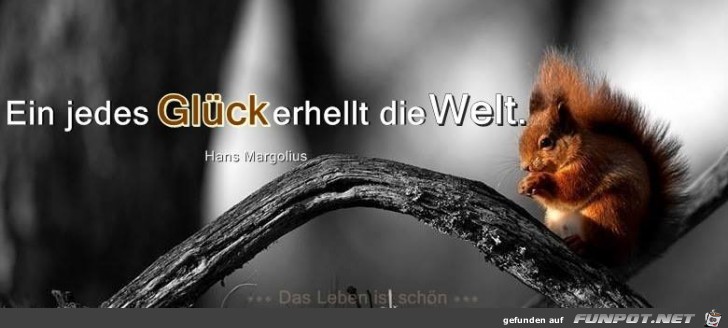 Ein jedes Glueck Ein jedes Glueck