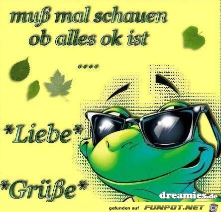 Muss mal schaun Muss mal schaun