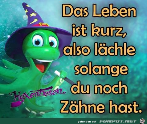 Das Leben ist kurz Das Leben ist kurz