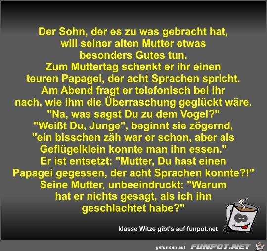 Der Sohn, der es zu was gebracht hat, will seiner alten... Der Sohn, der es zu was gebracht hat, will seiner alten...