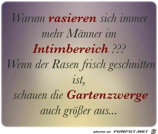 Warum rasieren... Warum rasieren...