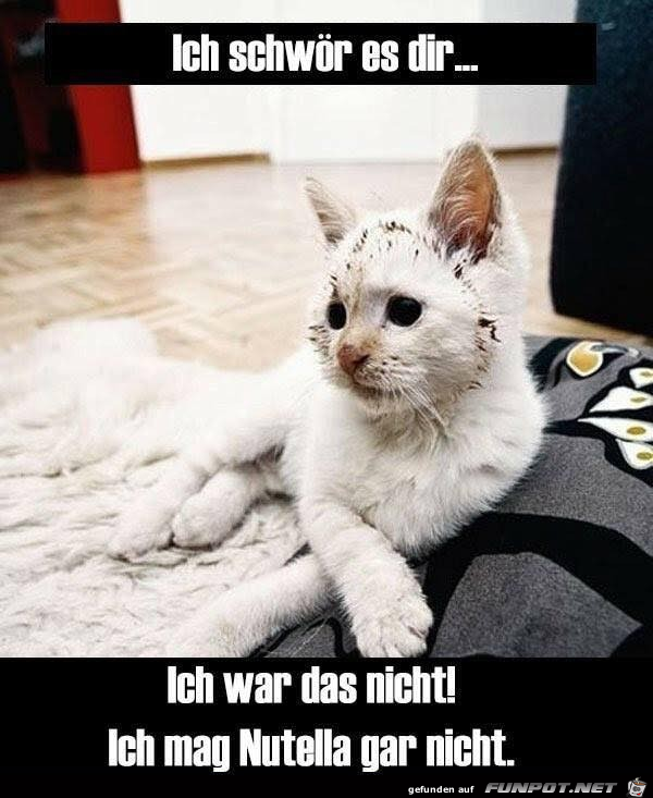 Ich wars nicht Ich wars nicht