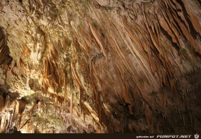 mehr Impressionen aus der Adelsberger Grotte