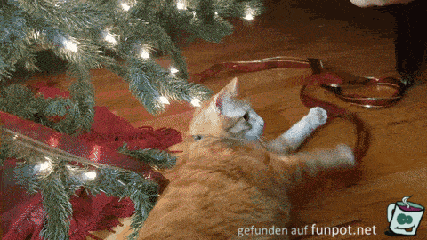 Katze spielt mit Christbaum