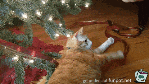 Katze spielt mit Christbaum Katze spielt mit Christbaum
