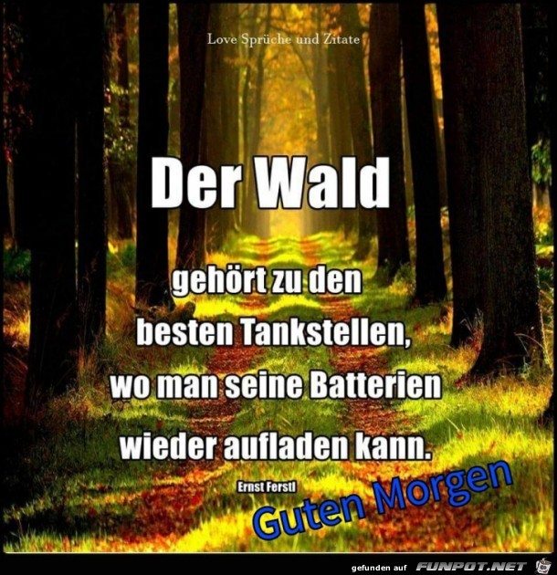 Der Wald