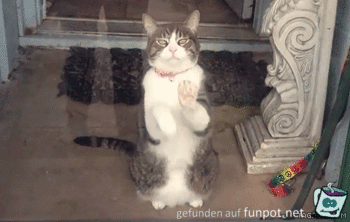 Lasst mich rein Lasst mich rein