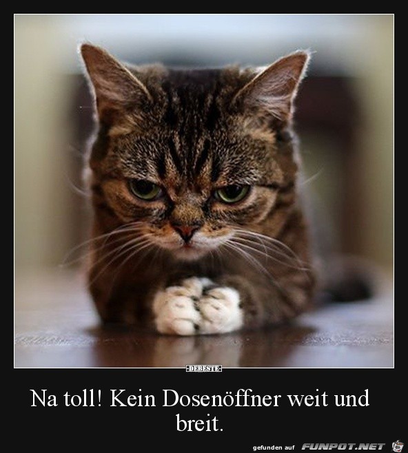 Kein Dosenöffner in der Nähe Kein Dosenöffner in der Nähe