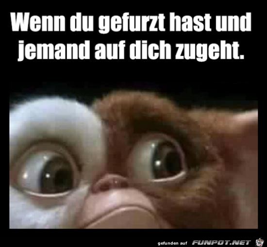 Oh nein Oh nein