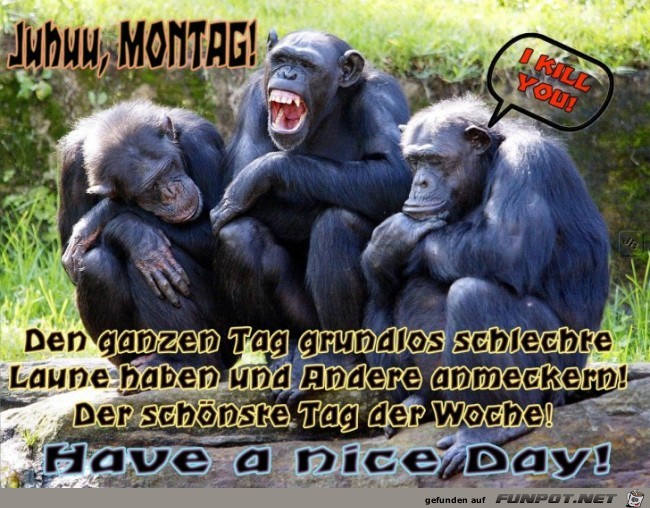 Montag Montag