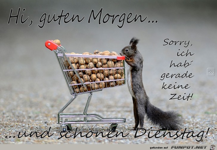 Dienstag Dienstag