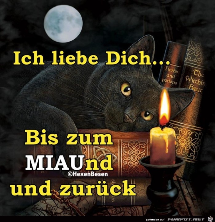 Bis zum Miau und zurueck