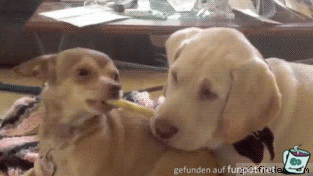 Das ist meins Das ist meins