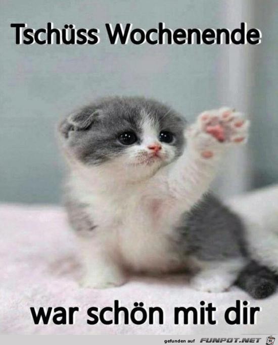 Tschüss Wochenende Tschüss Wochenende