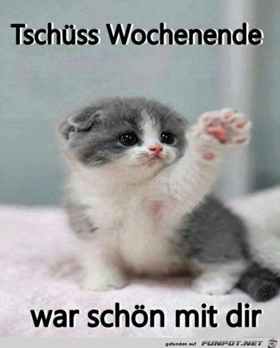 Tschss Wochenende