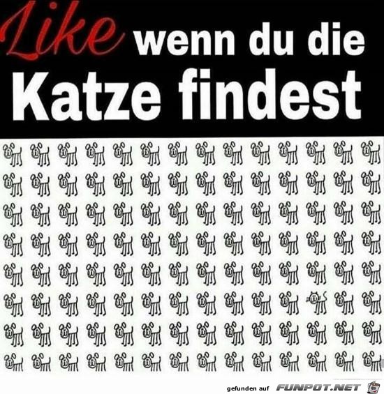 Wo ist die Katze