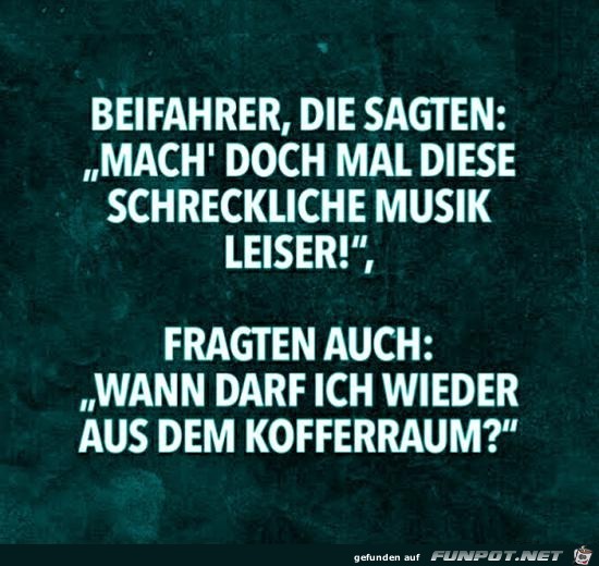 Beifahrer Beifahrer