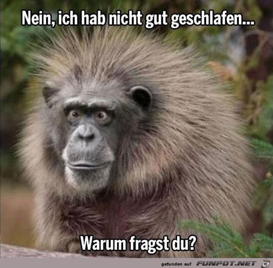 Habe nicht gut geschlafen Habe nicht gut geschlafen