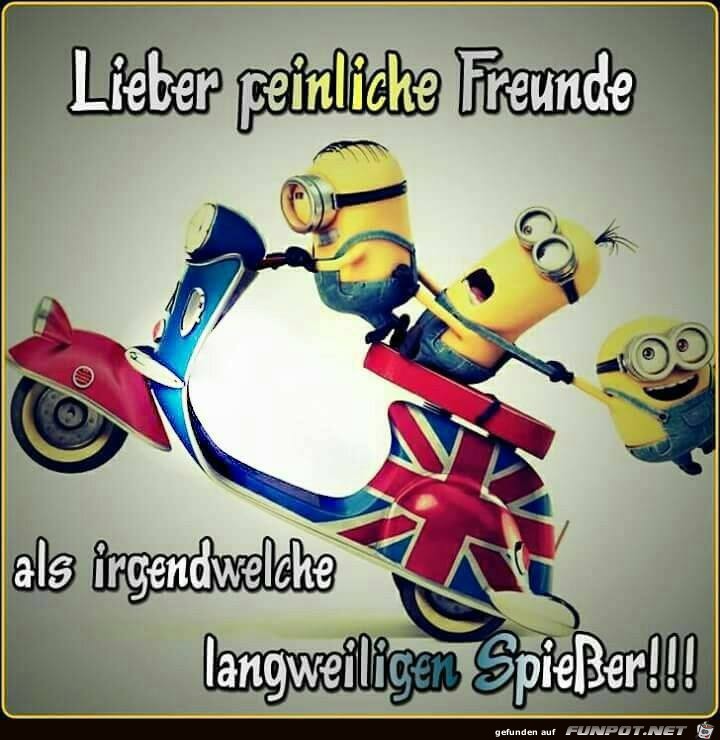 Lieber peinliche Freunde