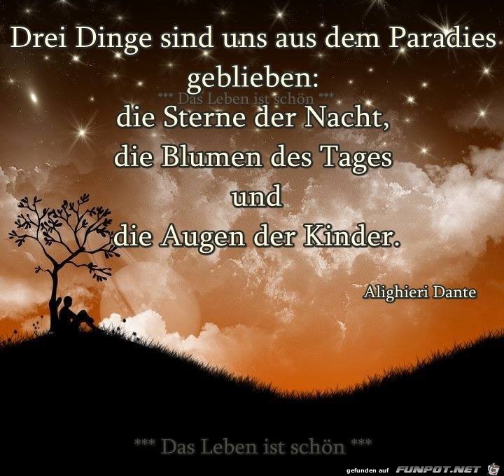 Drei Dinge